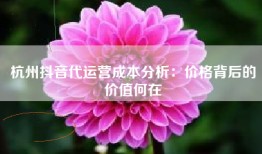 杭州抖音代运营成本分析：价格背后的价值何在