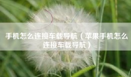 手机怎么连接车载导航（苹果手机怎么连接车载导航）
