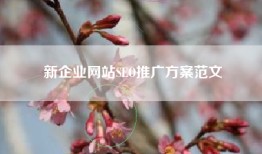 新企业网站SEO推广方案范文