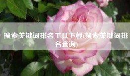 搜索关键词排名工具下载(搜索关键词排名查询)
