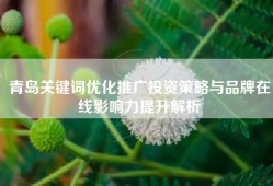 青岛关键词优化推广投资策略与品牌在线影响力提升解析