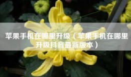 苹果手机在哪里升级（苹果手机在哪里升级抖音最新版本）