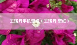 王珞丹手机壁纸（王珞丹 壁纸）