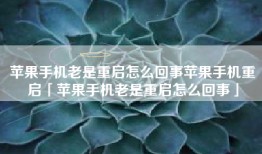 苹果手机老是重启怎么回事苹果手机重启「苹果手机老是重启怎么回事」