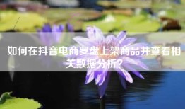 如何在抖音电商罗盘上架商品并查看相关数据分析？