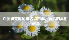 百度刷关键词排名点击率，背后的真相与风险