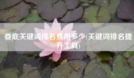 娄底关键词排名费用多少(关键词排名提升工具)