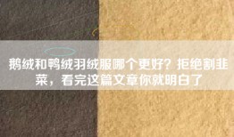 鹅绒和鸭绒羽绒服哪个更好？拒绝割韭菜，看完这篇文章你就明白了