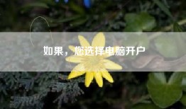 如果，您选择电脑开户