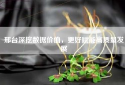 邢台深挖数据价值，更好赋能高质量发展