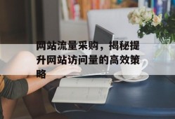 网站流量采购，揭秘提升网站访问量的高效策略