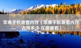 苹果手机查看内存（苹果手机查看内存占用多少 在哪里看）