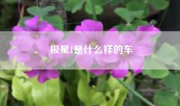 极星1是什么样的车