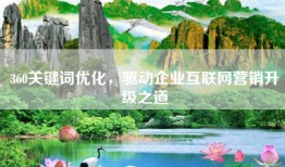 360关键词优化，驱动企业互联网营销升级之道