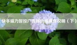 快手磁力智投广告移动端操作说明（下）