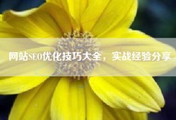 网站SEO优化技巧大全，实战经验分享