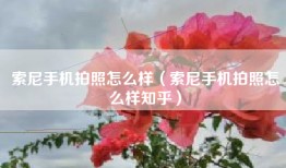 索尼手机拍照怎么样（索尼手机拍照怎么样知乎）