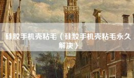 硅胶手机壳粘毛（硅胶手机壳粘毛永久解决）