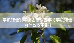 手机短信发不出去怎么回事（手机短信为什么收不到）