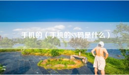 手机的（手机的SN码是什么）