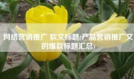 网络营销推广 软文标题(产品营销推广文的爆款标题汇总)