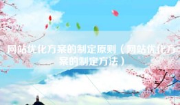 网站优化方案的制定原则（网站优化方案的制定方法）