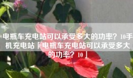 电瓶车充电站可以承受多大的功率？10手机充电站「电瓶车充电站可以承受多大的功率？10」