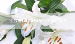 平台推广方案模板范文图片大全