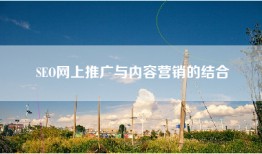 SEO网上推广与内容营销的结合