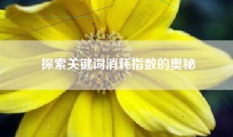 探索关键词消耗指数的奥秘