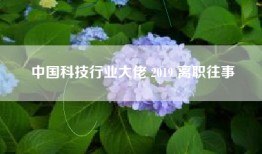 中国科技行业大佬 2019 离职往事
