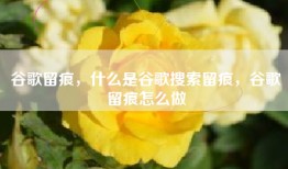 谷歌留痕，什么是谷歌搜索留痕，谷歌留痕怎么做