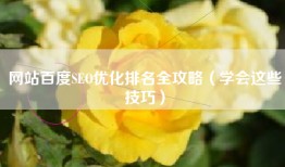 网站百度SEO优化排名全攻略（学会这些技巧）