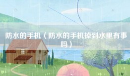 防水的手机（防水的手机掉到水里有事吗）