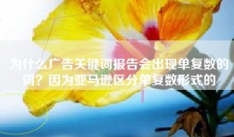 为什么广告关键词报告会出现单复数的词？因为亚马逊区分单复数形式的