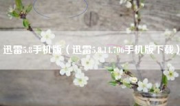 迅雷5.8手机版（迅雷5.8.14.706手机版下载）