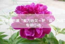 宝鸡市开展“聚力治欠·护‘薪’为民”专项行动