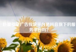 巨量引擎广告投放平台是抖音旗下的服务平台吗？