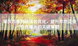 肇庆百度网站排名优化，提升本地企业在线曝光的关键策略