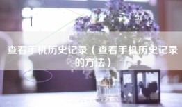 查看手机历史记录（查看手机历史记录的方法）