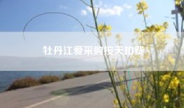 牡丹江爱采购按天扣费
