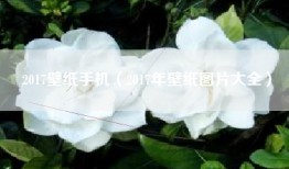 2017壁纸手机（2017年壁纸图片大全）