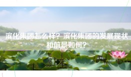 滨化集团怎么样？滨化集团的发展现状和前景如何？