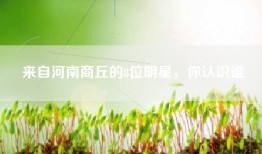 来自河南商丘的8位明星，你认识谁