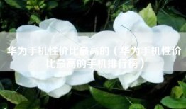 华为手机性价比最高的（华为手机性价比最高的手机排行榜）