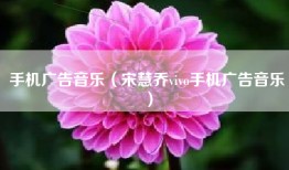 手机广告音乐（宋慧乔vivo手机广告音乐）