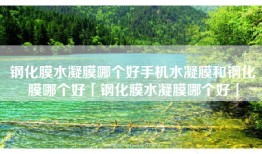 钢化膜水凝膜哪个好手机水凝膜和钢化膜哪个好「钢化膜水凝膜哪个好」