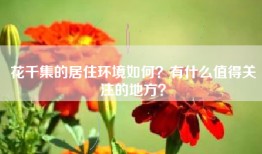 花千集的居住环境如何？有什么值得关注的地方？