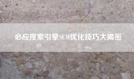 必应搜索引擎SEM优化技巧大揭密