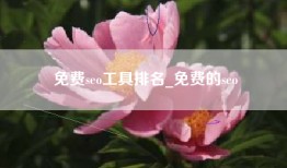 免费seo工具排名_免费的seo